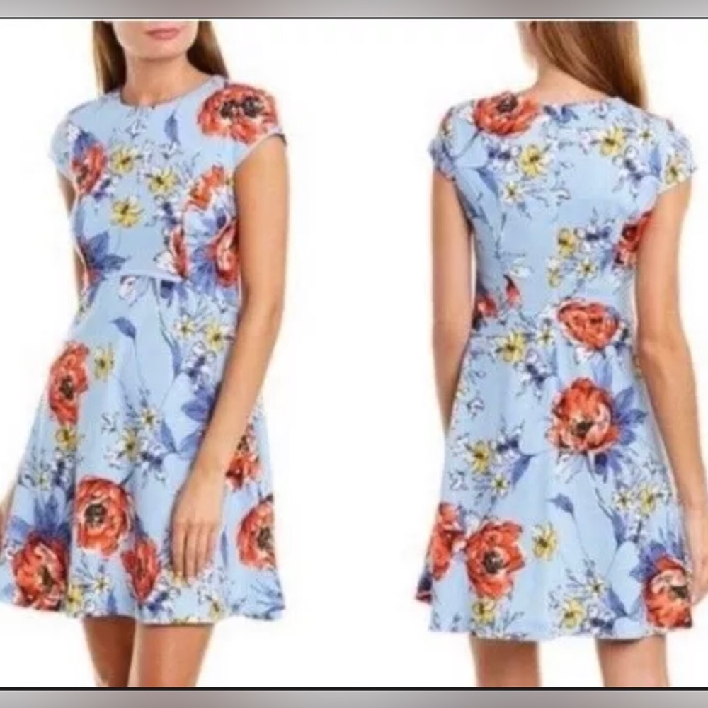 Vince Camuto Womens Floral Fit & Flare Mini Dress Size 4 Blue & Red Short Sleeve - Picture 2 of 16
